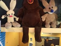 Mystery Glimpse: Stuffed Animals Are…What?