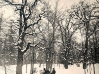 Snow In Literature: Stopping By Woods On A Snowy Evening