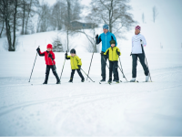 Tips On Starting Nordic Skiing