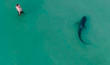 Screen Shot 2020-10-13 at 5.26.55 PM