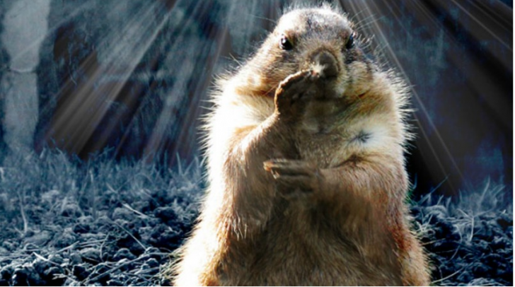 Screen Shot 2021-01-26 at 9.59.30 AM