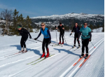 Cross Country Skiing