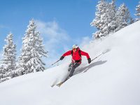 Older Skier? Here’s a list of the Best Skis for You