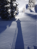 Screen Shot 2022-01-30 at 3.26.48 PM