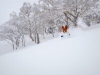 Kiroro Japan Skiing Credit: IndyPass
