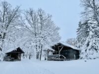 Maplelag cabins in winter